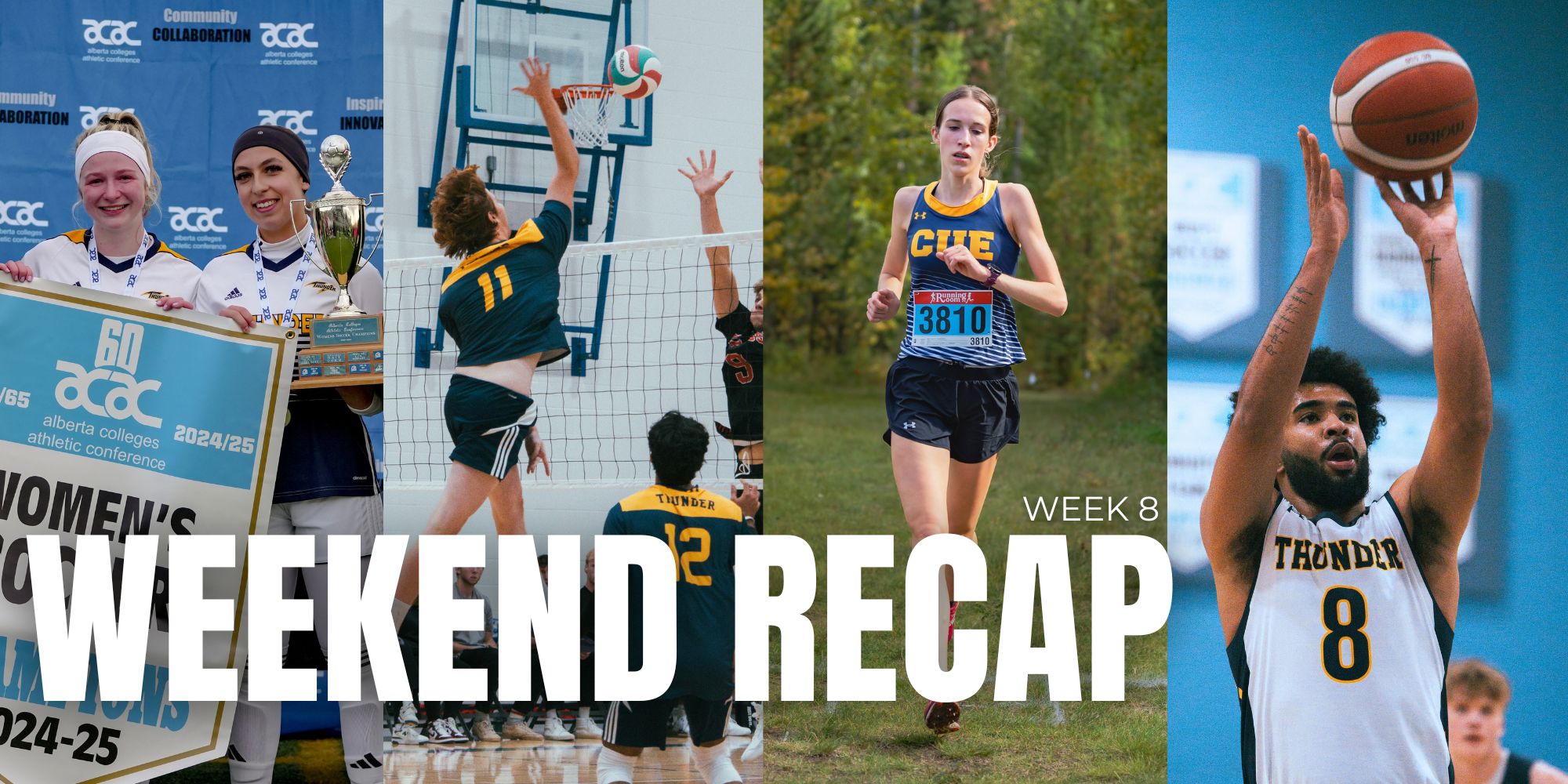 Weekend Recap - Week 8